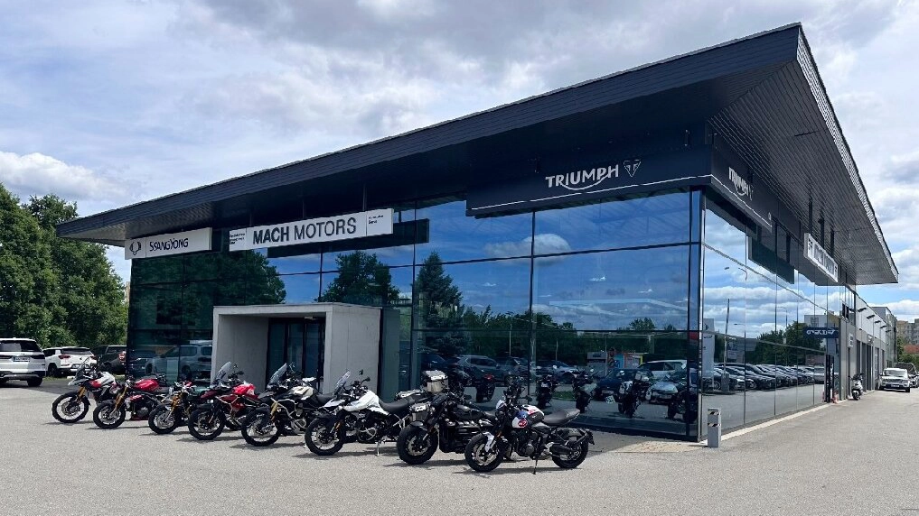 Open Season | Demo dny Triumph